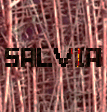 Salvjiiia