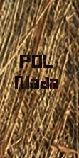 POL nada